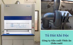 CÔNG TRÌNH THÁNG 4 – LẮP ĐẶT TỦ HÚT KHÍ ĐỘC CHO CÔNG TY SẢN XUẤT THỨC ĂN CHĂN NUÔI TỈNH HẢI DƯƠNG